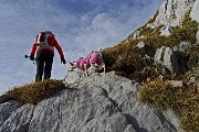 44 Passaggi su roccette